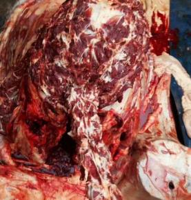 驢肉批發(fā)價格